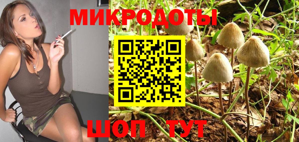Псилоцибиновые грибы Psilocybe Ишим